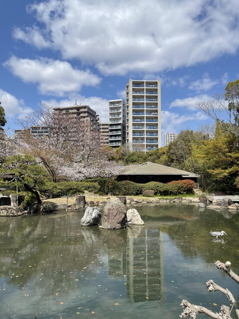 極楽の池 2
Gokuraku no ike 2