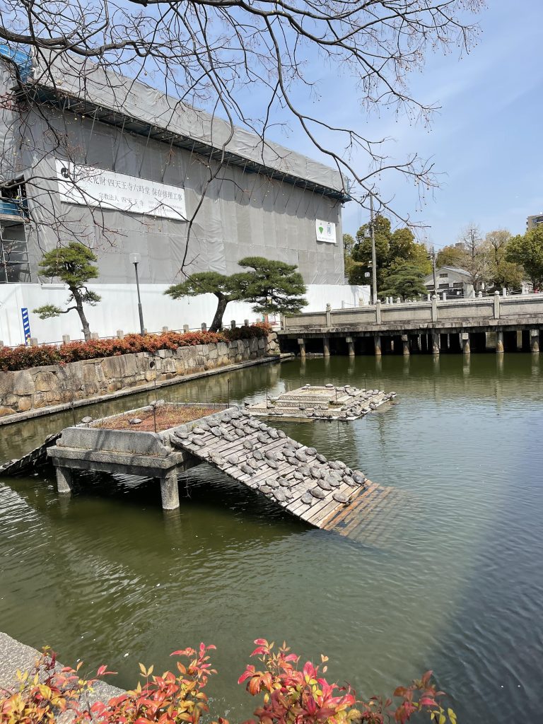 亀の池
Turtle Pond