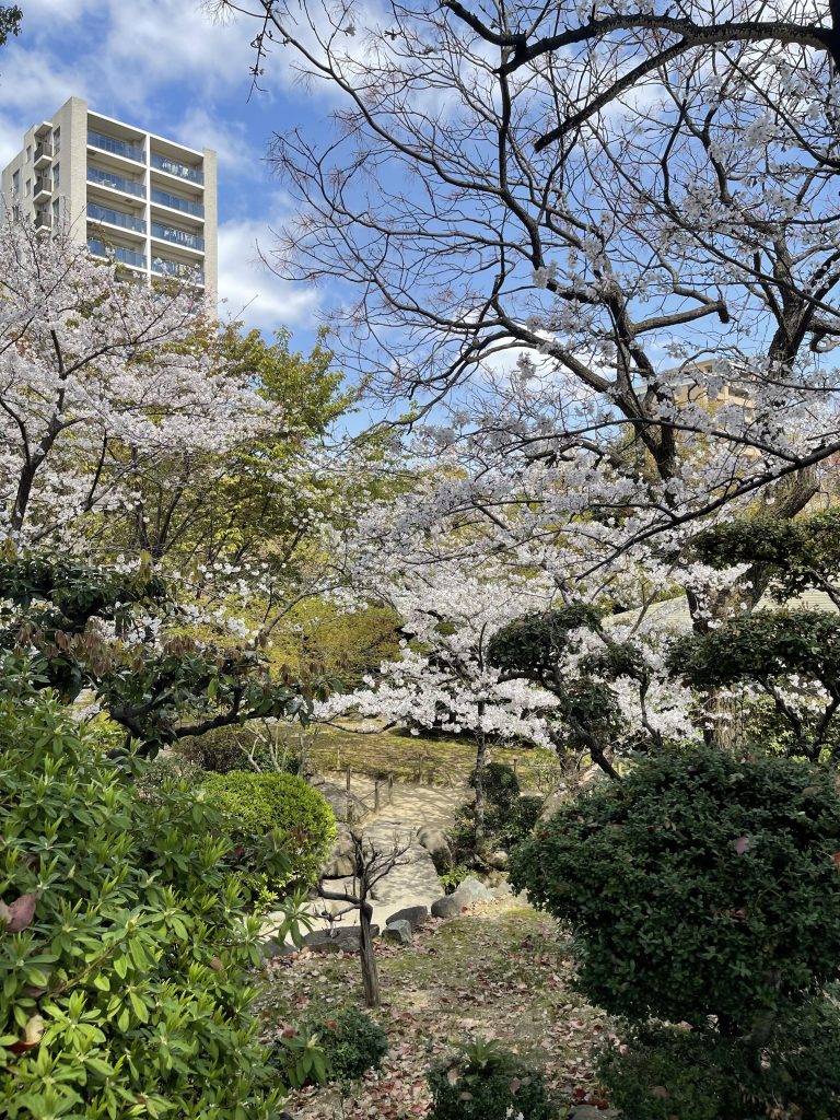 極楽浄土の庭 3
Gokurakujōdo no niwa 3