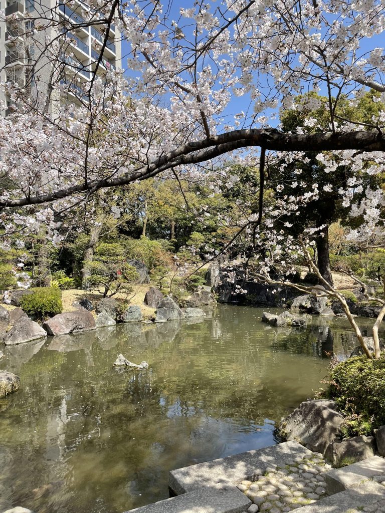 極楽浄土の庭 5
Gokurakujōdo no niwa 5