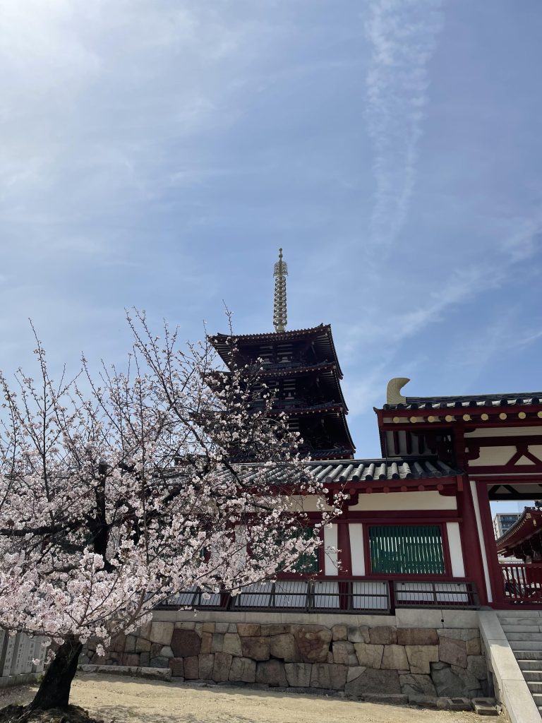 東重門前の桜
Cherry blossoms in front of Higashijumon Gate