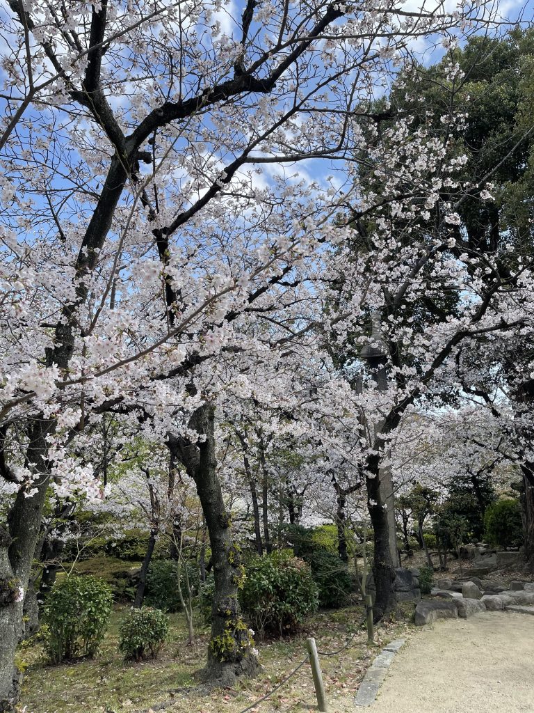 極楽浄土の庭 7
Gokurakujōdo no niwa 7