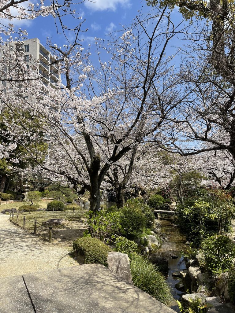 極楽浄土の庭 2
Gokurakujōdo no niwa 2